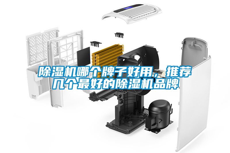 除濕機哪個牌子好用，推薦幾個最好的除濕機品牌