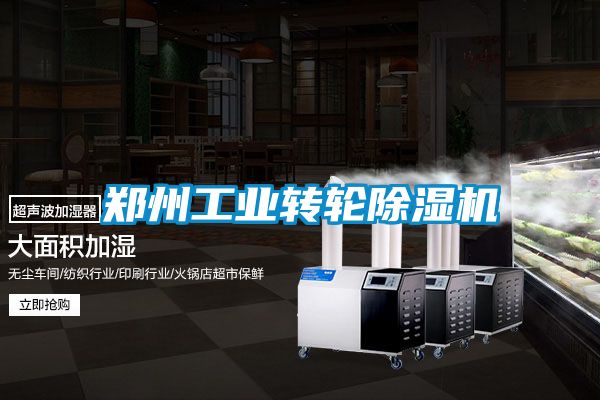 鄭州工業轉輪除濕機