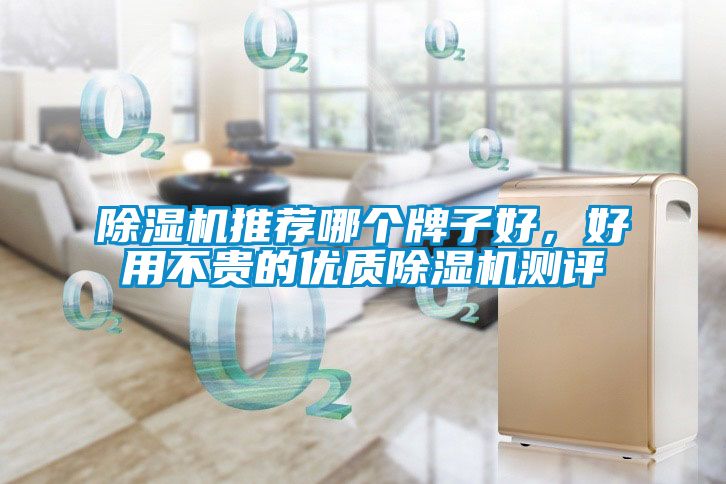 除濕機推薦哪個牌子好，好用不貴的優質除濕機測評
