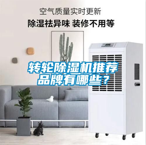 轉輪除濕機推薦品牌有哪些？