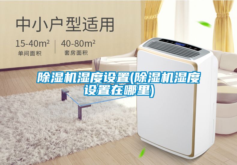 除濕機濕度設置(除濕機濕度設置在哪里)