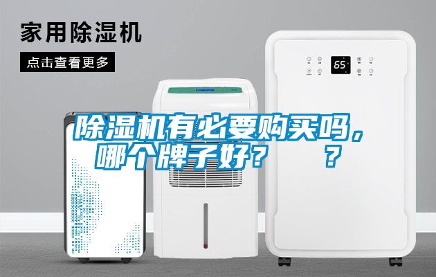 除濕機有必要購買嗎，哪個牌子好？  ？