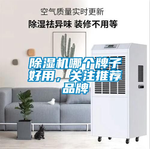 除濕機哪個牌子好用，關注推薦品牌
