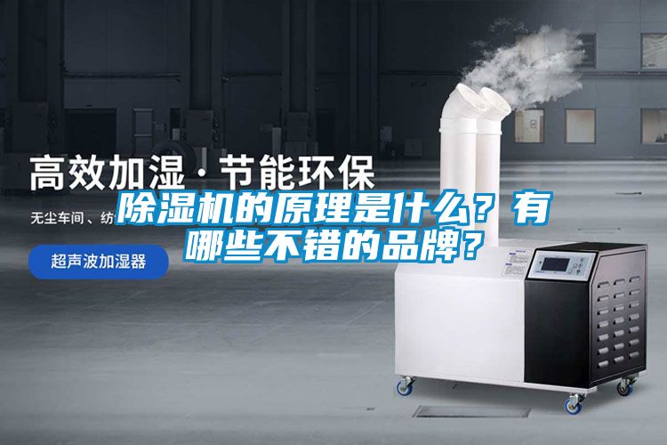 除濕機的原理是什么？有哪些不錯的品牌？