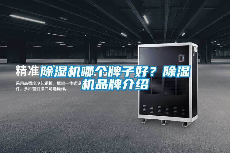 除濕機哪個牌子好？除濕機品牌介紹