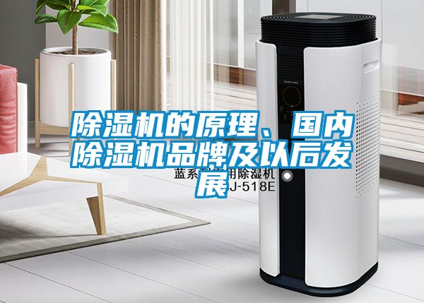 除濕機(jī)的原理、國(guó)內(nèi)除濕機(jī)品牌及以后發(fā)展
