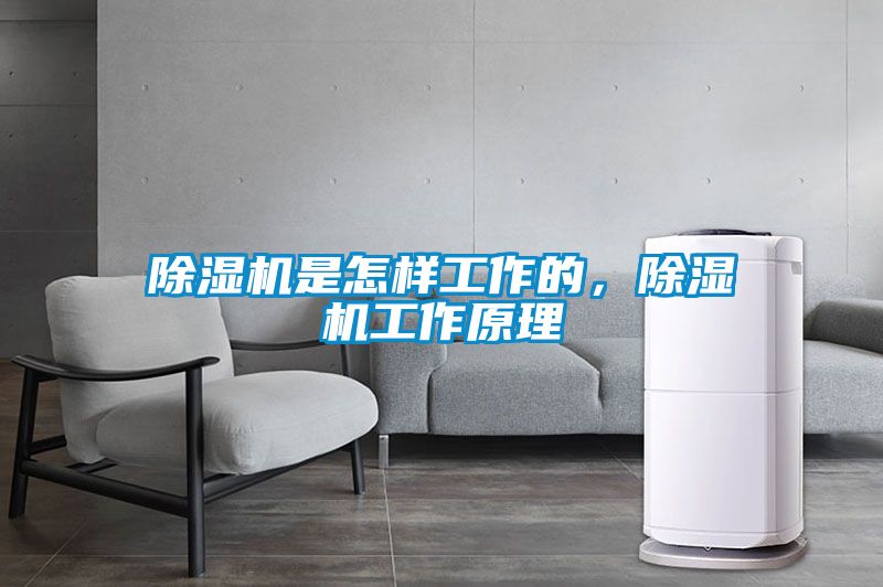 除濕機是怎樣工作的，除濕機工作原理