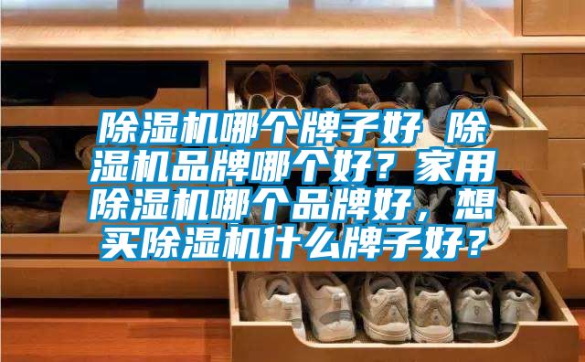 除濕機哪個牌子好 除濕機品牌哪個好？家用除濕機哪個品牌好，想買除濕機什么牌子好？