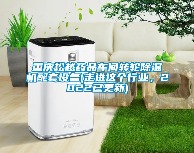 重慶松越藥品車間轉輪除濕機配套設備(走進這個行業，2022已更新)