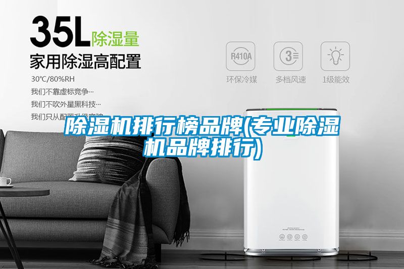 除濕機排行榜品牌(專業除濕機品牌排行)