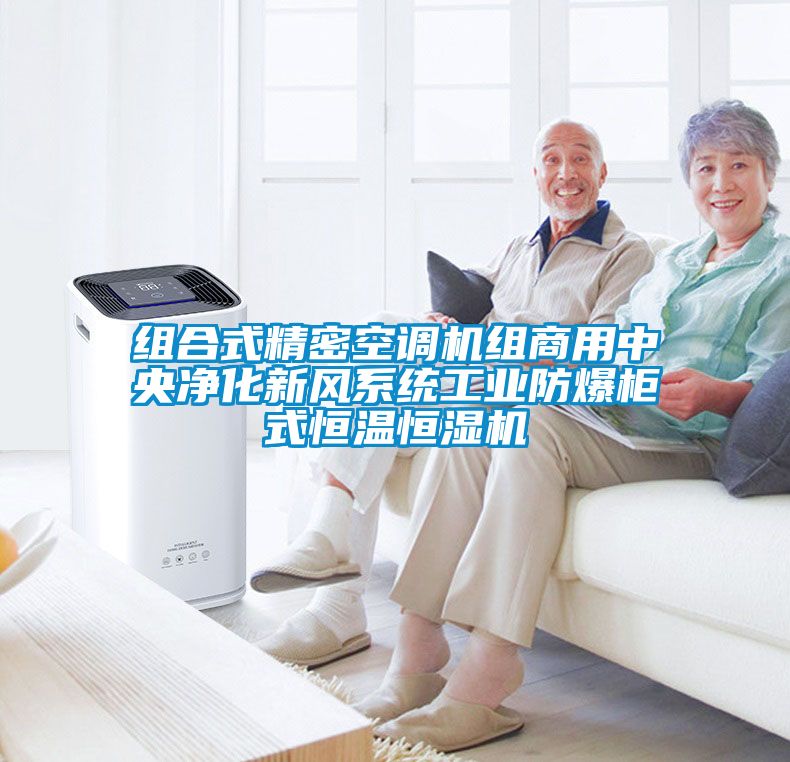 組合式精密空調機組商用中央凈化新風系統工業防爆柜式恒溫恒濕機