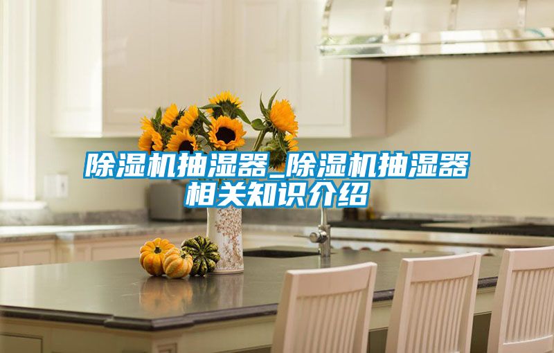 除濕機抽濕器_除濕機抽濕器相關(guān)知識介紹