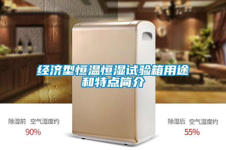 經(jīng)濟型恒溫恒濕試驗箱用途和特點簡介