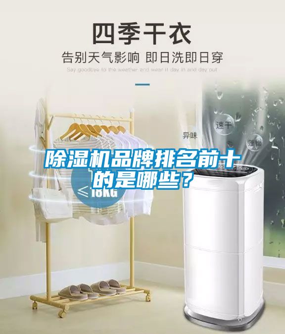 除濕機品牌排名前十的是哪些？