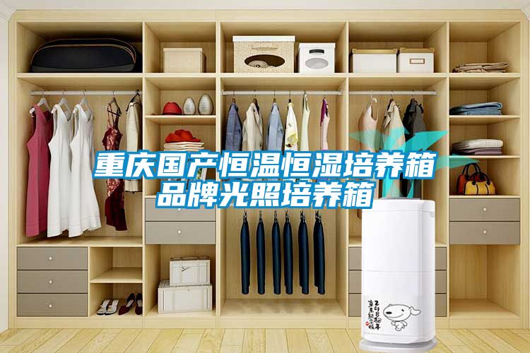 重慶國產恒溫恒濕培養箱品牌光照培養箱
