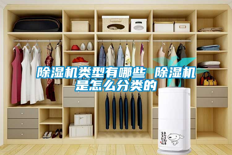 除濕機(jī)類型有哪些 除濕機(jī)是怎么分類的
