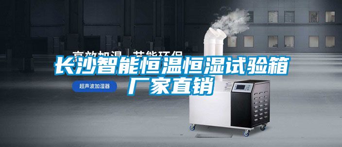 長(zhǎng)沙智能恒溫恒濕試驗(yàn)箱廠家直銷