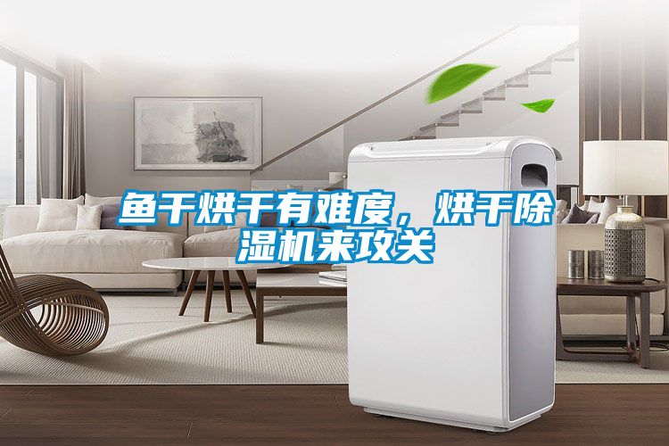 魚干烘干有難度，烘干除濕機(jī)來(lái)攻關(guān)