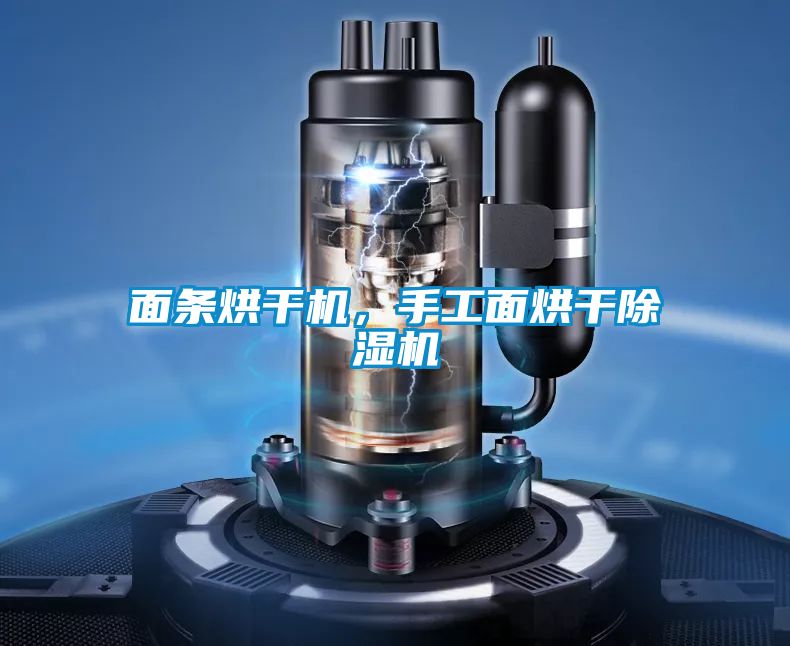 面條烘干機，手工面烘干除濕機
