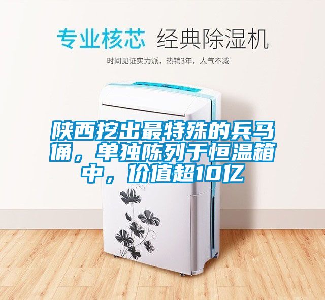 陜西挖出最特殊的兵馬俑，單獨(dú)陳列于恒溫箱中，價(jià)值超10億