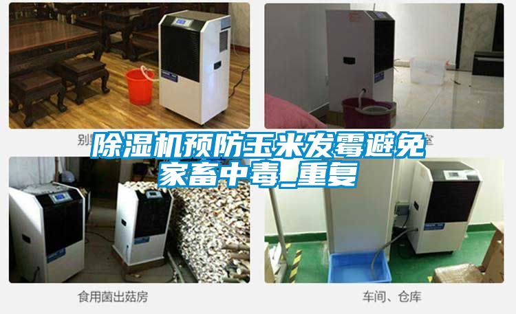 除濕機預防玉米發霉避免家畜中毒_重復