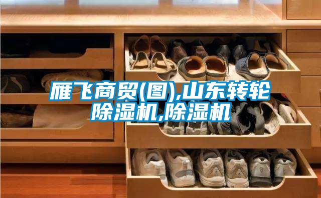 雁飛商貿(圖),山東轉輪除濕機,除濕機