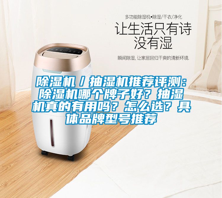 除濕機(jī)／抽濕機(jī)推薦評(píng)測(cè)：除濕機(jī)哪個(gè)牌子好？抽濕機(jī)真的有用嗎？怎么選？具體品牌型號(hào)推薦