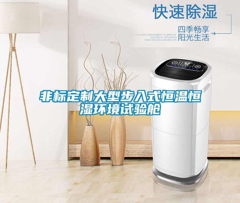 非標定制大型步入式恒溫恒濕環境試驗艙