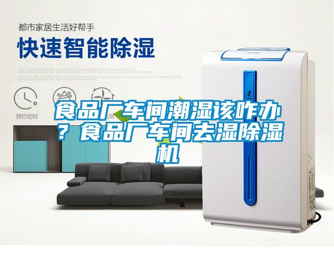 食品廠車間潮濕該咋辦？食品廠車間去濕除濕機(jī)
