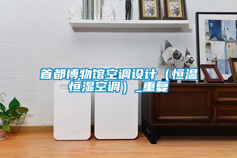 首都博物館空調設計（恒溫恒濕空調）_重復