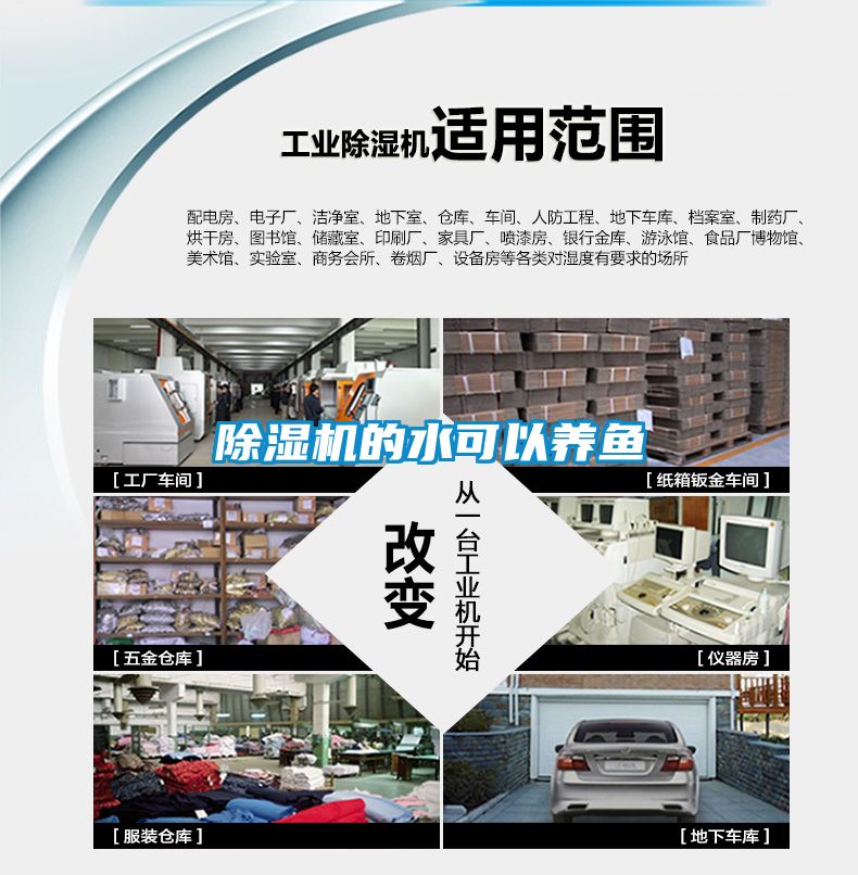 除濕機的水可以養魚