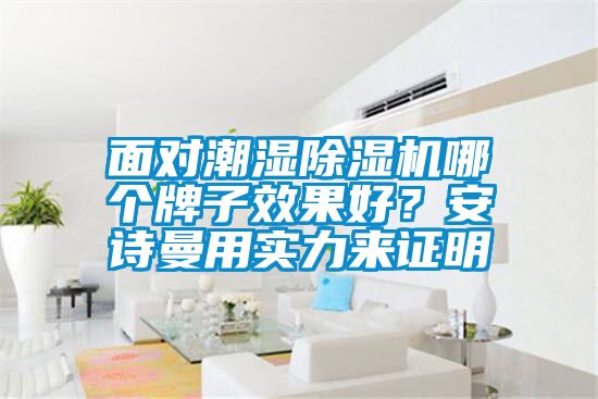 面對(duì)潮濕除濕機(jī)哪個(gè)牌子效果好？安詩(shī)曼用實(shí)力來證明