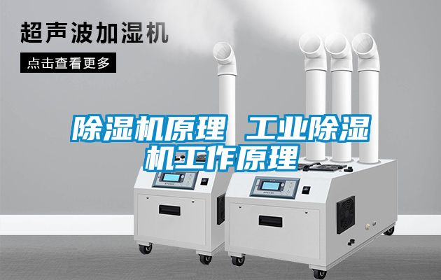 除濕機原理 工業除濕機工作原理