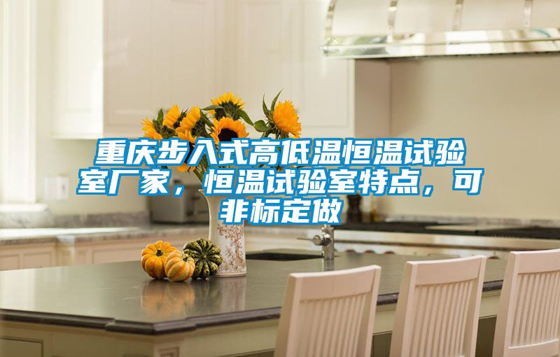 重慶步入式高低溫恒溫試驗室廠家，恒溫試驗室特點，可非標定做