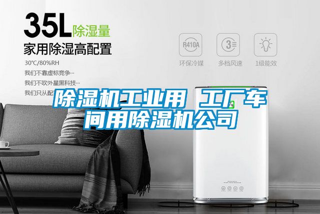 除濕機工業用 工廠車間用除濕機公司