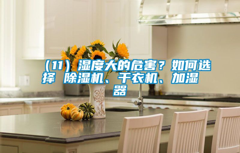 （11）濕度大的危害？如何選擇 除濕機(jī)、干衣機(jī)、加濕器