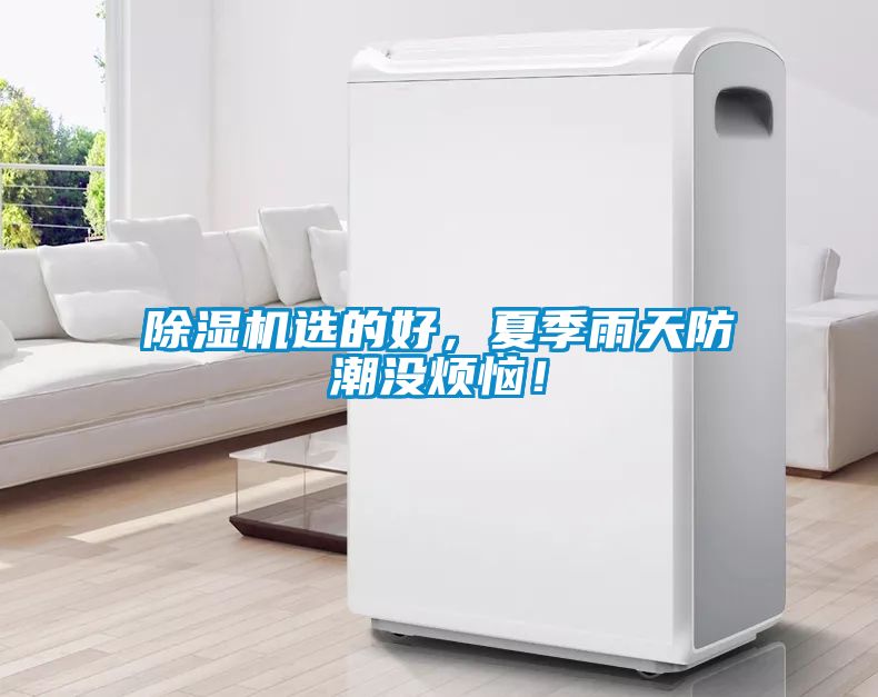 除濕機選的好，夏季雨天防潮沒煩惱！