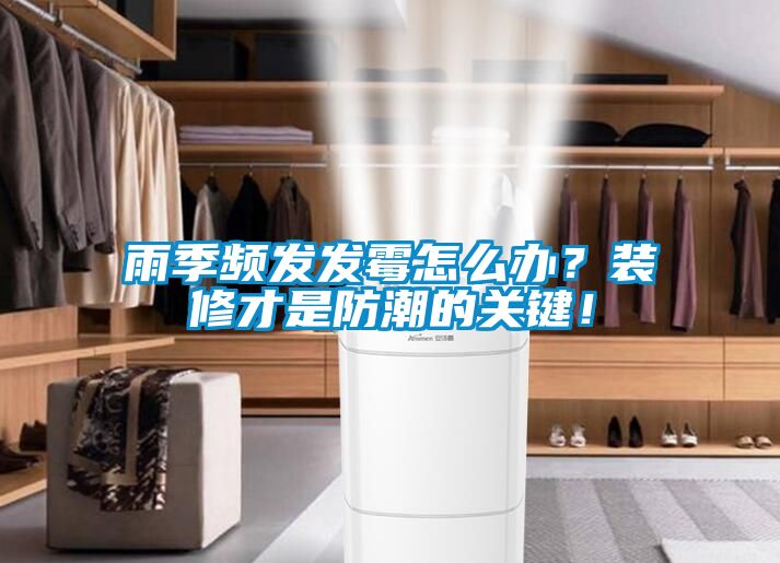 雨季頻發發霉怎么辦？裝修才是防潮的關鍵！