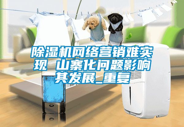 除濕機網絡營銷難實現 山寨化問題影響其發展_重復