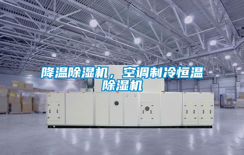 降溫除濕機，空調制冷恒溫除濕機