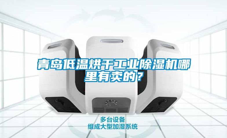 青島低溫烘干工業除濕機哪里有賣的？