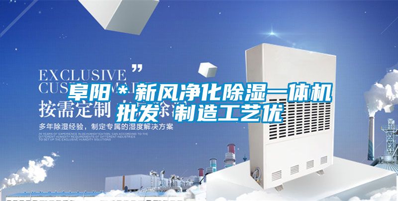 阜陽＊新風凈化除濕一體機批發 制造工藝優