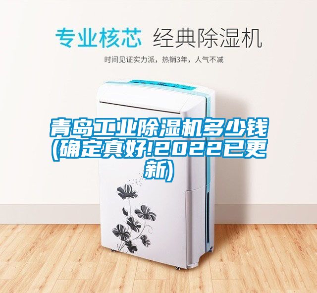 青島工業除濕機多少錢(確定真好!2022已更新)