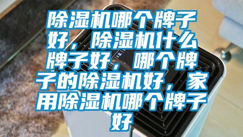 除濕機哪個牌子好，除濕機什么牌子好，哪個牌子的除濕機好，家用除濕機哪個牌子好