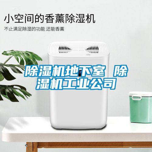 除濕機地下室 除濕機工業公司