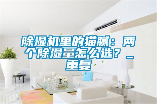 除濕機里的貓膩：兩個除濕量怎么選？_重復
