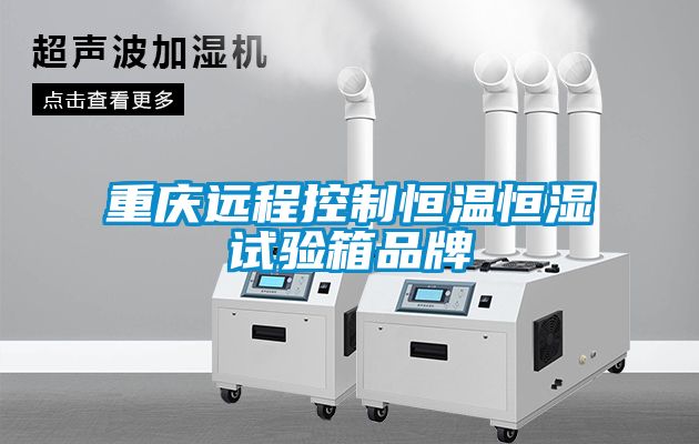 重慶遠程控制恒溫恒濕試驗箱品牌