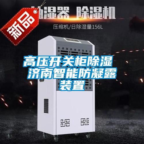 高壓開關柜除濕 濟南智能防凝露裝置