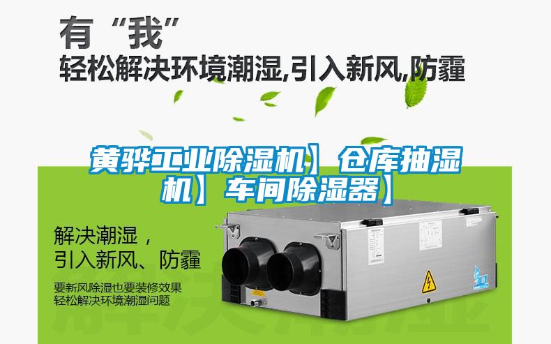 黃驊工業除濕機】倉庫抽濕機】車間除濕器】