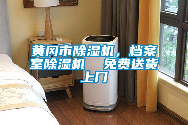 黃岡市除濕機(jī)，檔案室除濕機(jī)  免費(fèi)送貨上門